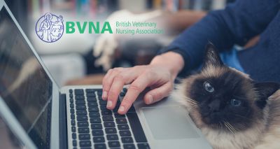 BVNA announces virtual weekend of celebration